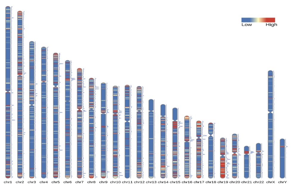 asmheatmap